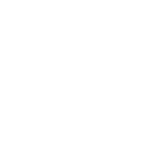 Icon Payment